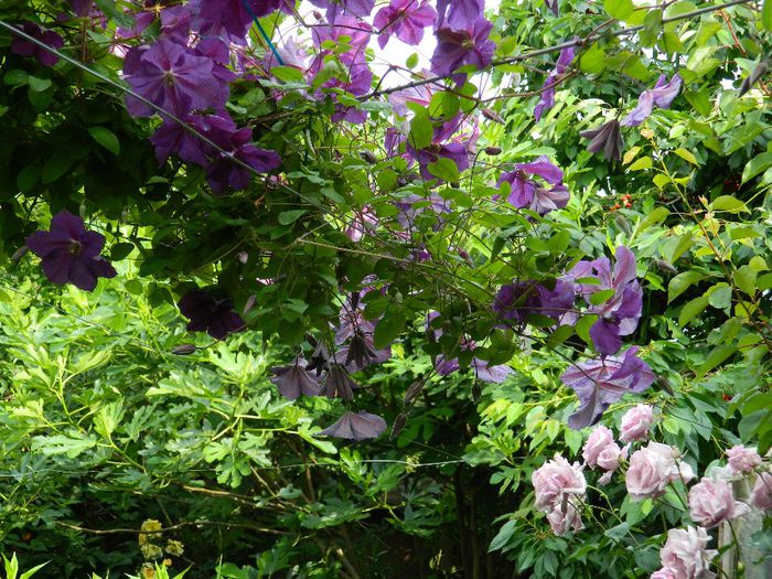 DSCN0851 - MAI_2_2014