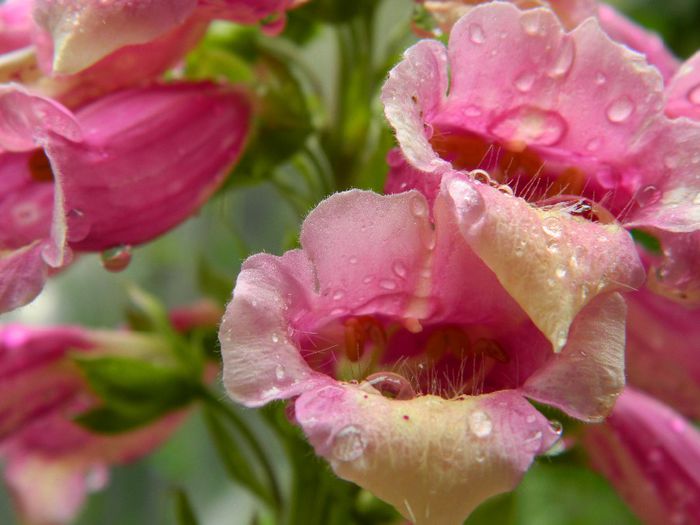 DSCN0859 - MAI_2_2014