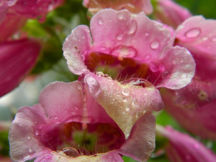 DSCN0860 - MAI_2_2014