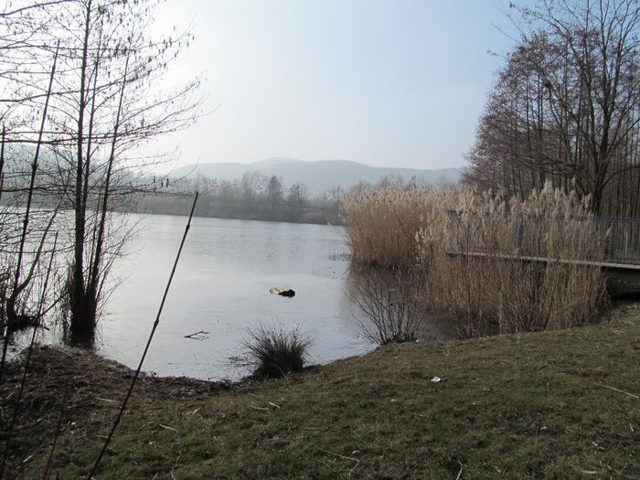  - Diverse 1 - Plimbari