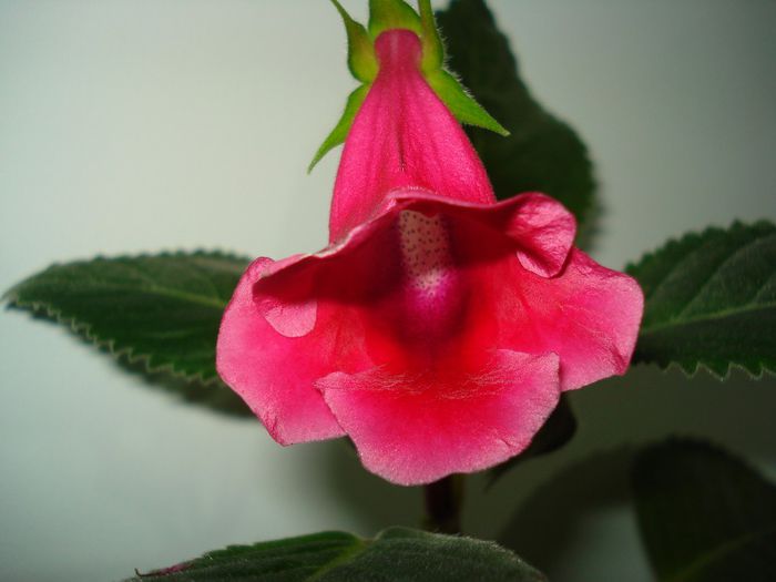 DSC09134