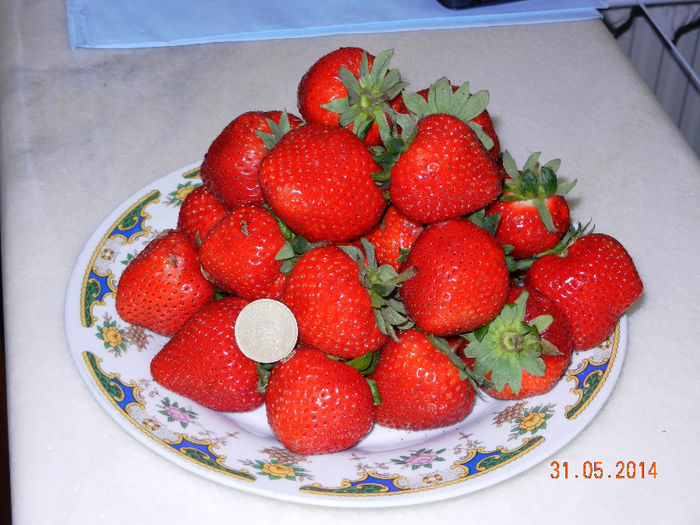 Argentetra si Benicia; Prima recolta
