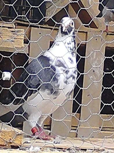 IMG_20140531_180431_595