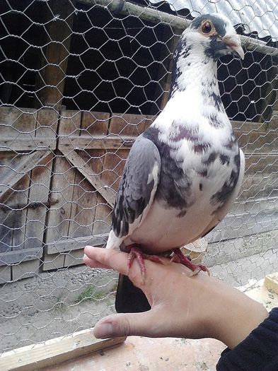 IMG_20140531_182117_773