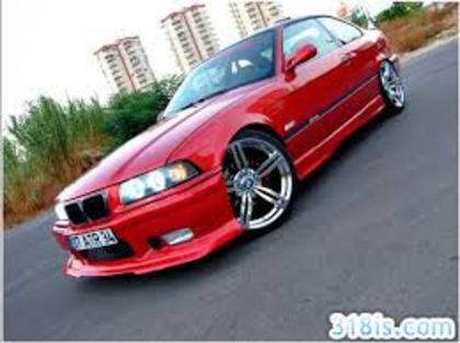 i - Pisicute si e46