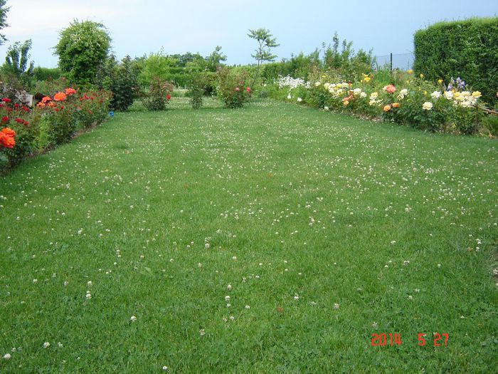 DSC04650
