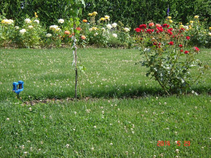 DSC04660