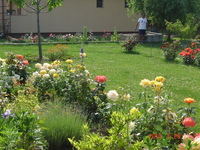 DSC04664