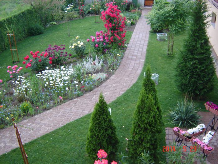 DSC04708