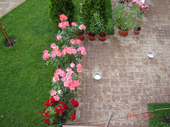 DSC04710