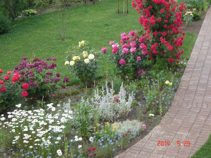 DSC04711