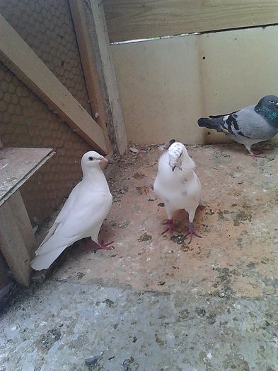 IMG_20140531_185253_142