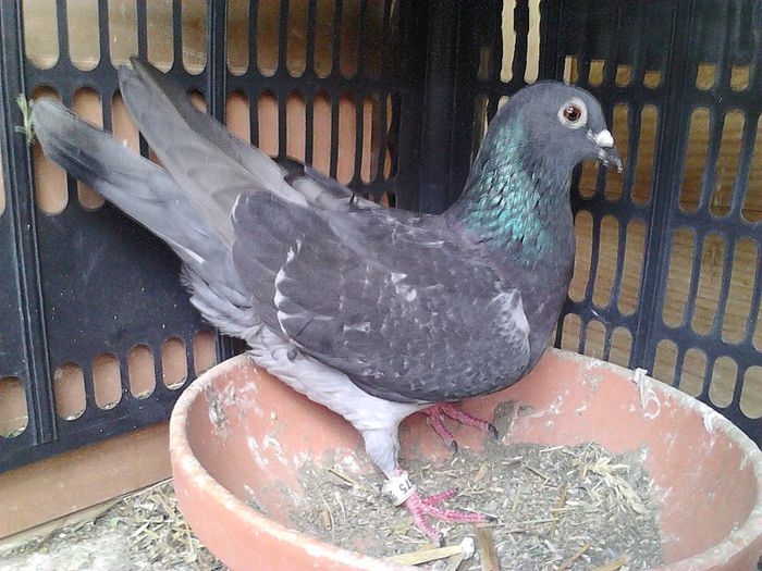 IMG_20140531_185441_606