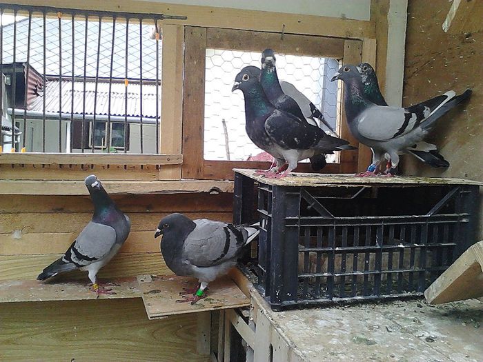 IMG_20140531_185517_740