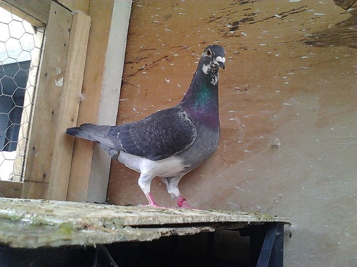 IMG_20140531_190132_355