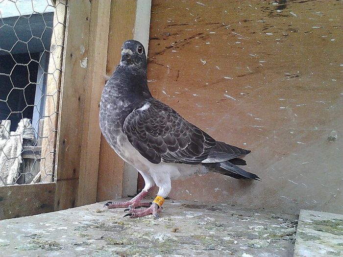 IMG_20140531_190226_792