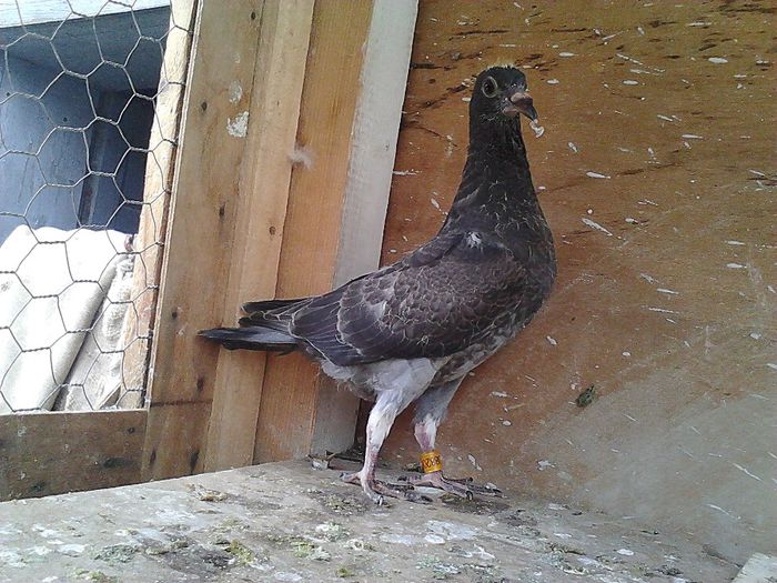 IMG_20140531_190258_159