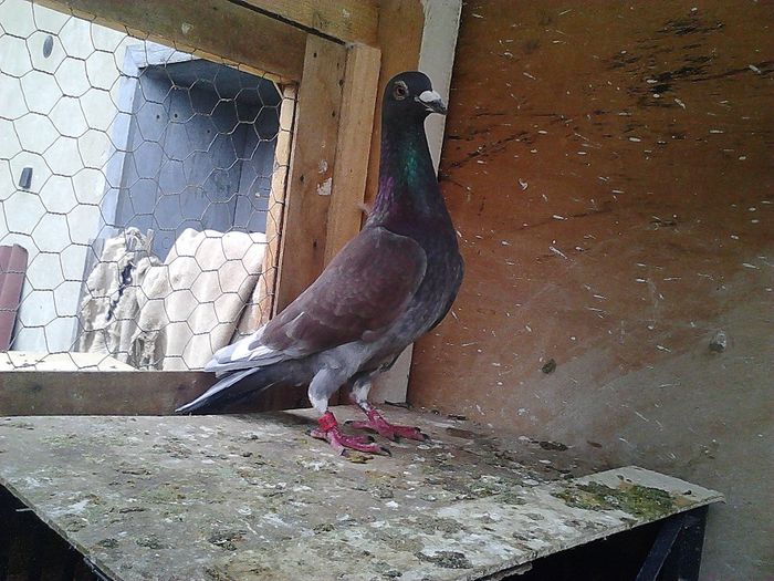 IMG_20140531_191917_502