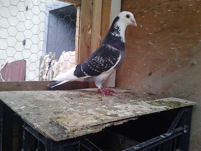 IMG_20140531_192441_489