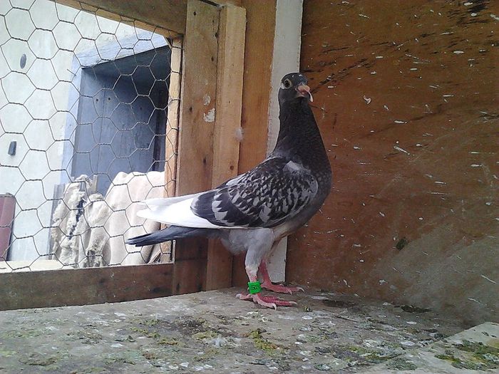 IMG_20140531_192926_996