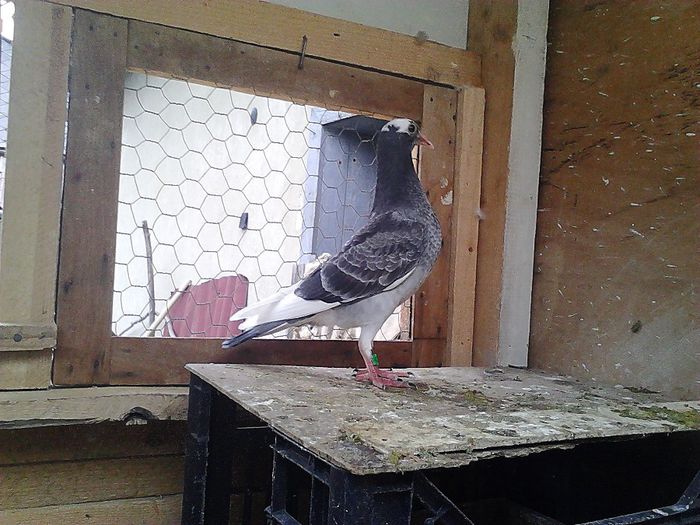 IMG_20140531_193032_019