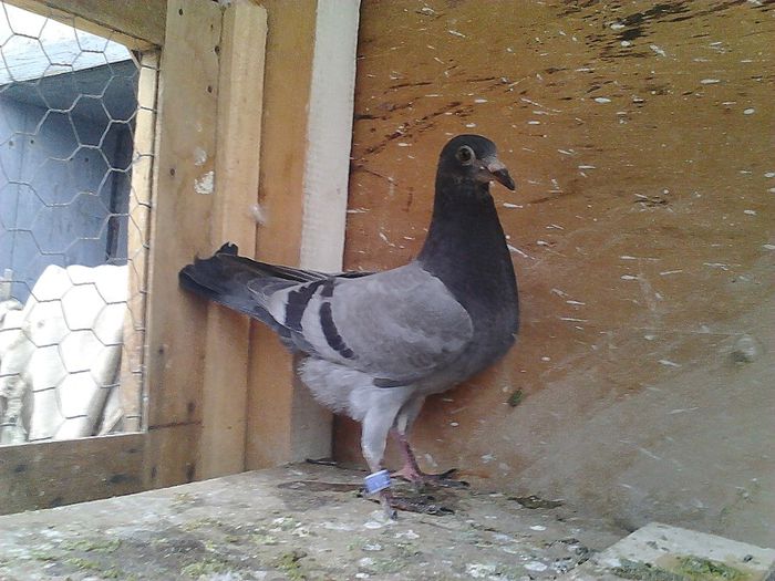 IMG_20140531_193101_726