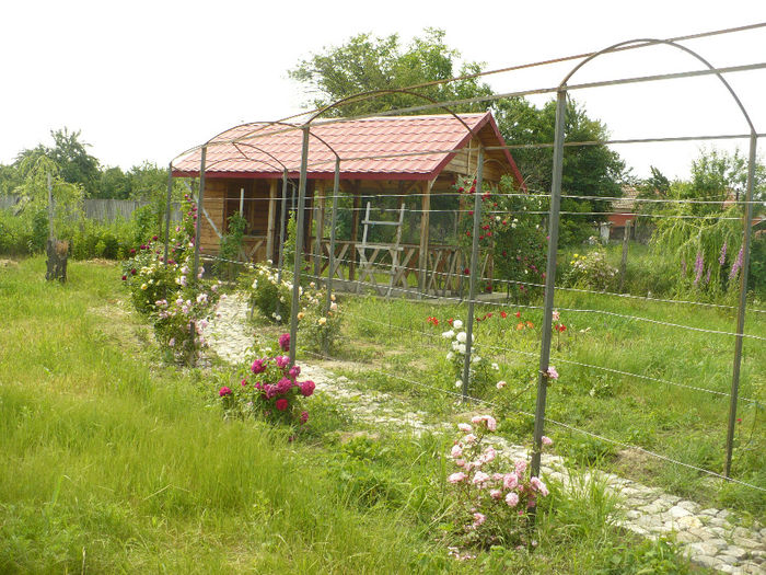 P1100422 - Gradina de la tara 2014