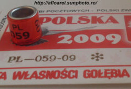 PL 09 - POLONIA-PL