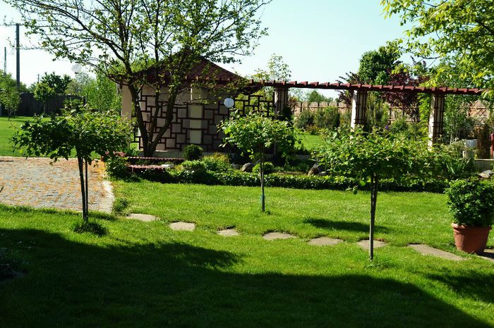 Middle garden