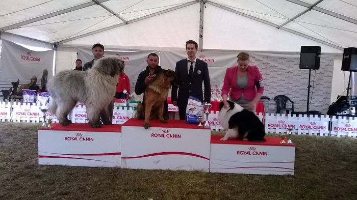 locul II BOB - ARCAN EXPO CAC SI CACIB 2014 SIBIU