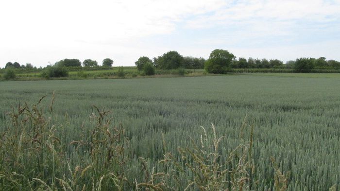  - Diverse 1 - Plimbari