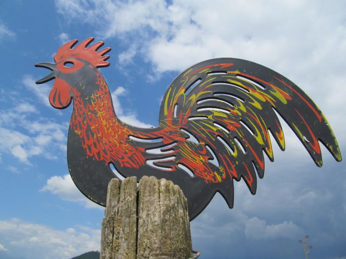  - Diverse 1 - Plimbari