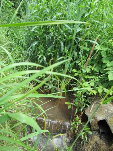  - Diverse 1 - Plimbari