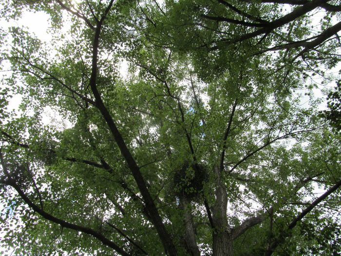 visc - Diverse 1 - Plimbari