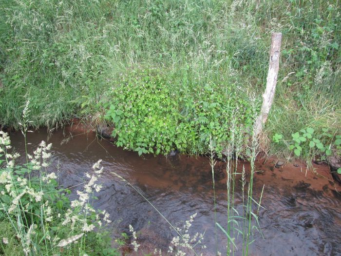 piriu 1 - Diverse 1 - Plimbari