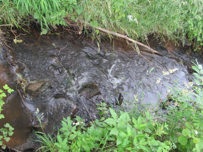  - Diverse 1 - Plimbari