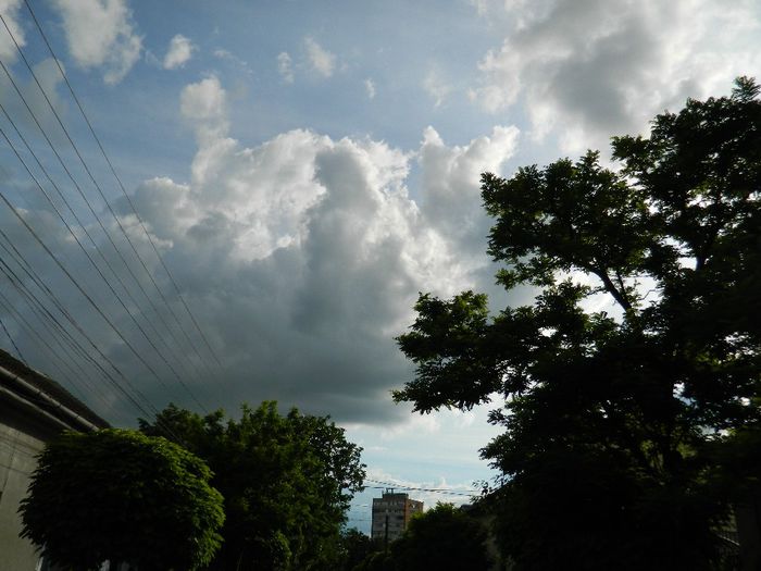 DSCN1120 - MAI_3_2014