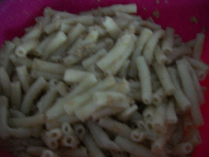 DSCN0215; paste cu ton
