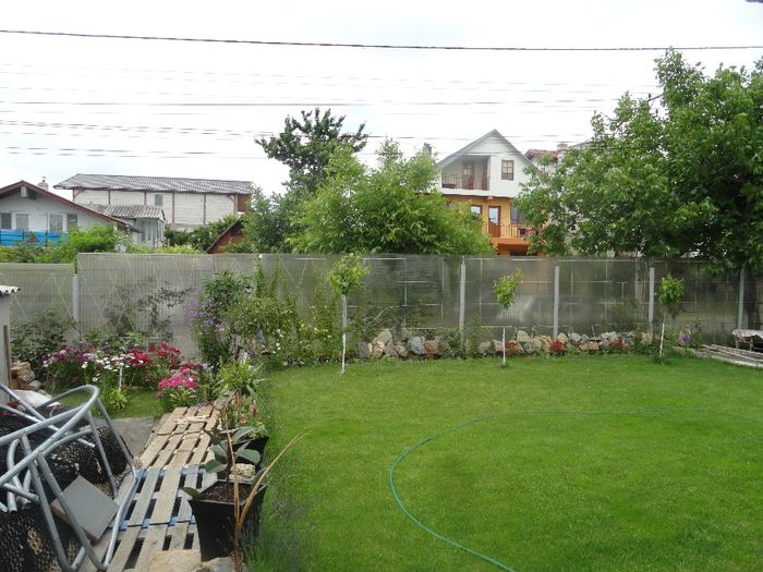 o mica parte din  de relaxare - PLANTELE MELE DIN GRADINA2014