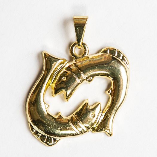 xoPerfectSelena - pesti - Tu spui zodia eu pun poza --- joculet