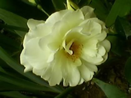 011