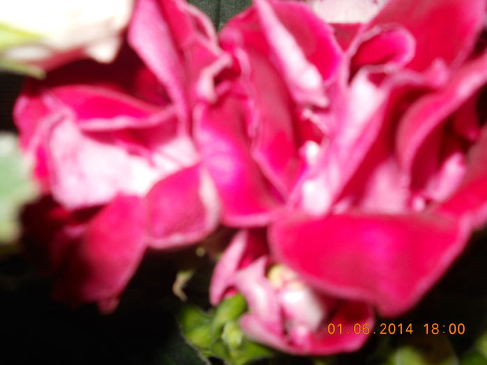 025 - IUNIE 2014