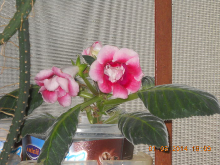 056 - IUNIE 2014