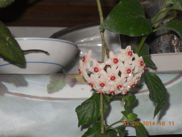 060 - IUNIE 2014