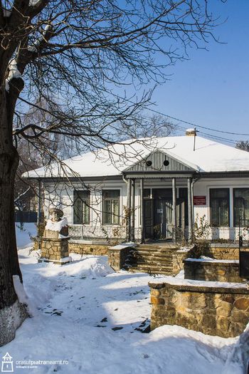 CASA MEMORIALA CALISTRAT HOGAS