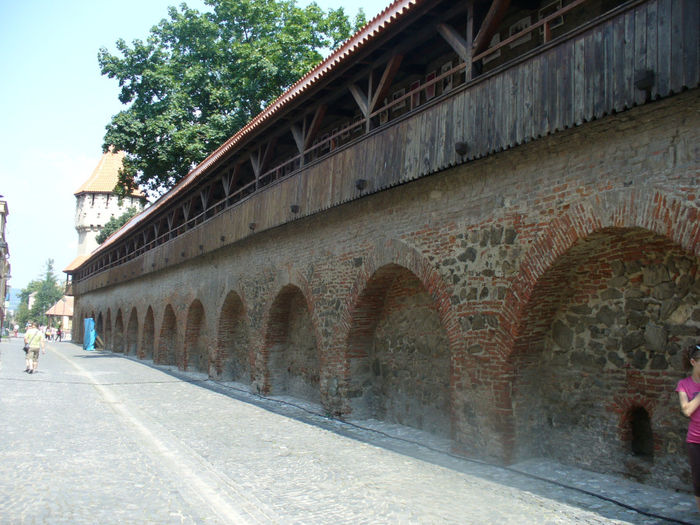 P1070341 - Vacanta Sibiu