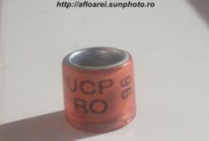 UCP RO 96 - UCP-FRC-FRSC