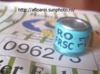 RO FRSC 11 - UCP-FRC-FRSC