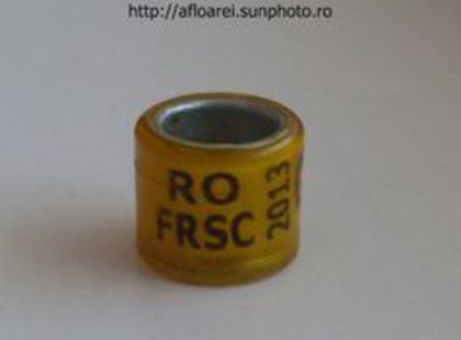 RO FRSC 13 - UCP-FRC-FRSC