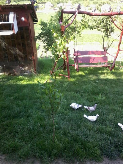 10331577_623557854401784_2077037011_n